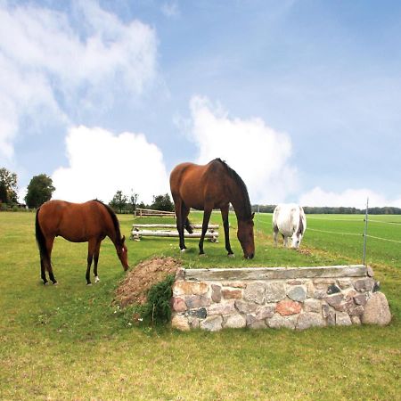 Reitpension A. Behrens Schwasdorf エクステリア 写真
