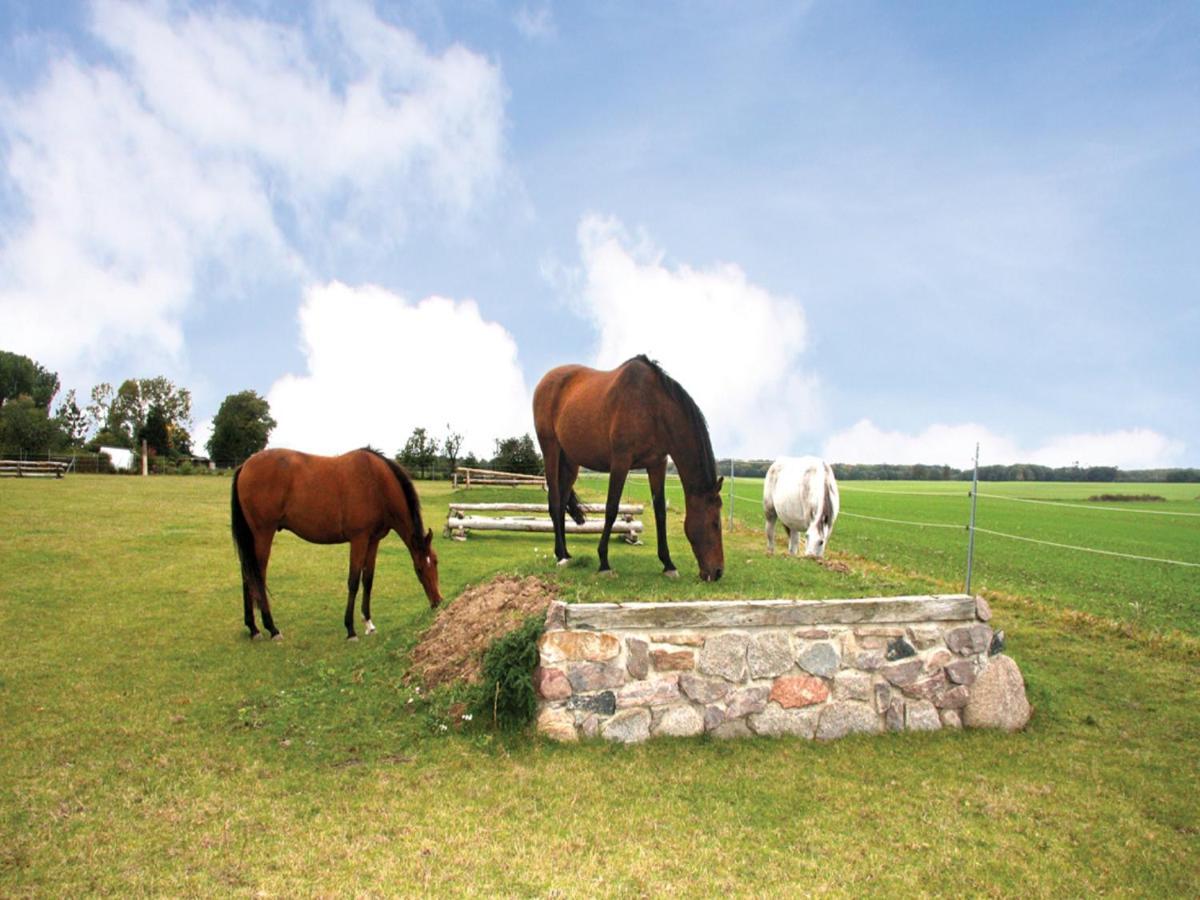 Reitpension A. Behrens Schwasdorf エクステリア 写真